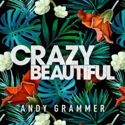 Crazy Beautiful - Single - Andy Grammer