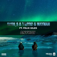 Anyway (feat. Felix Giles) - Single - Sash_S, Tierro & Wayman
