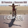 I Can Fly (feat. Bascom Hill) [Remix]