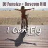 DJ Funsize - I Can Fly (feat. Bascom Hill) [Remix]