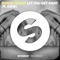Let You Get Away (feat. Ashe) [Extended Mix] - Shaun Frank lyrics