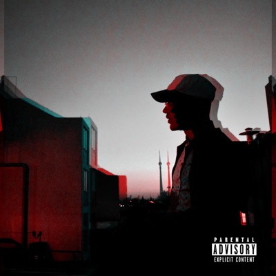 Switch - Single