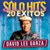 David Lee Garza & Los Musicales - Tu Boca Roja