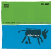 Tindersticks - I've Been Loving You Too Long