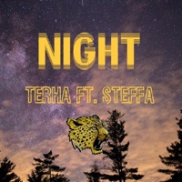 Night (feat. Steffa) - Single - Terha