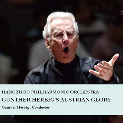 Hangzhou Philharmonic Orchestra - Symphony No.3 in D Minor, WAB103: Ⅰ. Gemäßigt, misterioso