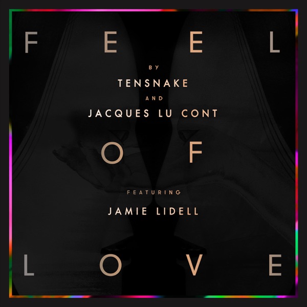 Feel of Love (feat. Jamie Lidell) [Remixes] - EP