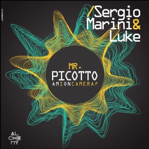 Mr Picotto, Am I on Camera? - Single