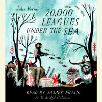 20,000 Leagues Under the Sea (Unabridged) - Jules Verne Cover Art