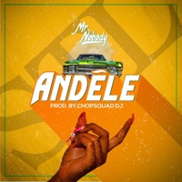 Andele - Single - Mr. Nobody Stl