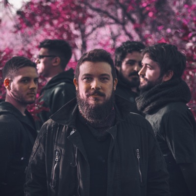 Ascolta Adonde, guarda video musicali, leggi la biografia, vedi le date del tour & altro!