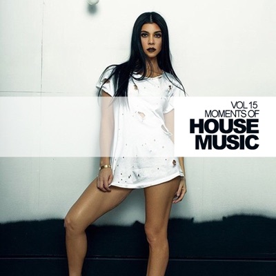 Moments of House Music, Vol.15