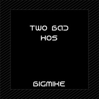 Two Bad Hos - Single - Bigmike