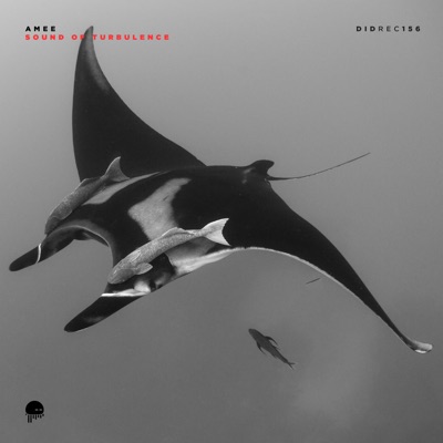 Sound of Turbulence - Single