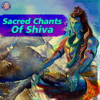 Sacred Chants of Shiva - Various Artists