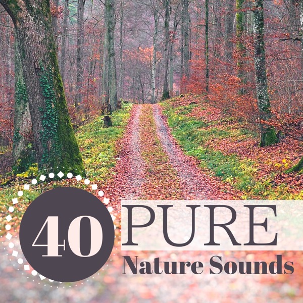 40 Pure Nature Sounds - Soothing Rain, Waterfall & Sea Music with Natural Background