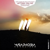 Letting You Go (feat. Rita Raga) - Single - Andy Norling