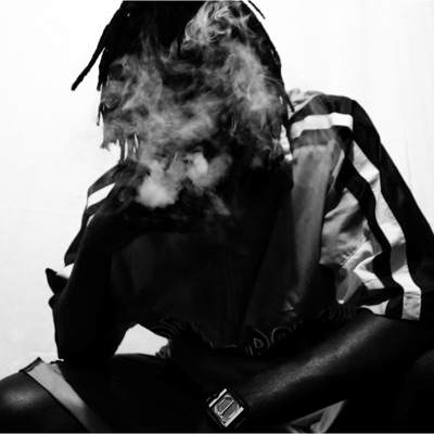 Half a Bird - Single