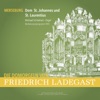 Die Domorgeln von Friedrich Ladegast (Merseburg Dom Sankt Johannes und Sankt Laurentius)