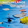 Naturklänge mit Musik zum Einschlafen, Meditieren, Heilen und Entspannen: Ozeanwellen, Waldgeräusche, Regentropfen, Vogelstimmen, Entspannungsmusik, Einschlafmusik - Yella A. Deeken