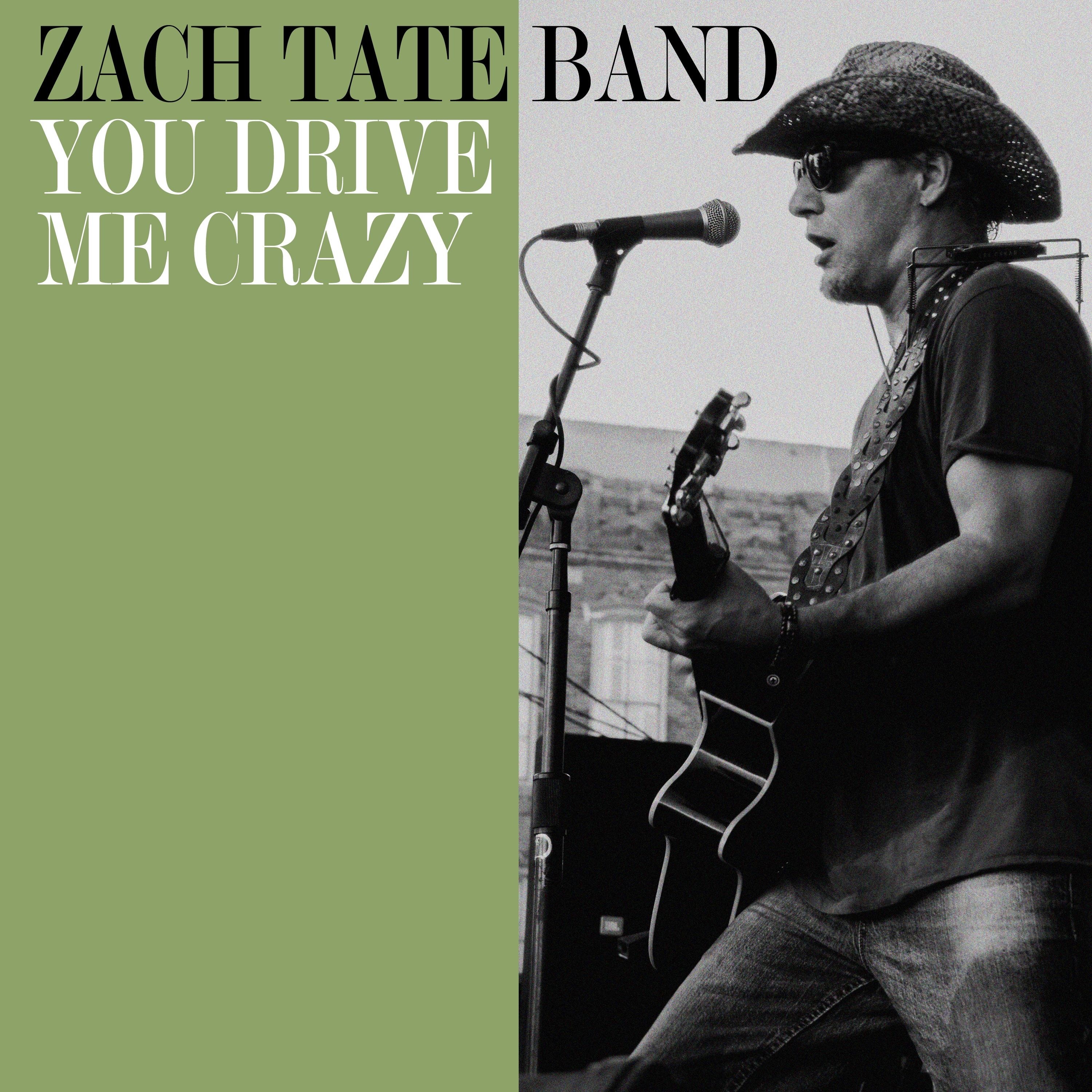 You Drive Me Crazy - Single