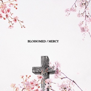 Blossomed / Mercy - Single