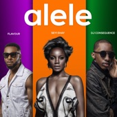 Alele (feat. Dj Consequence) artwork