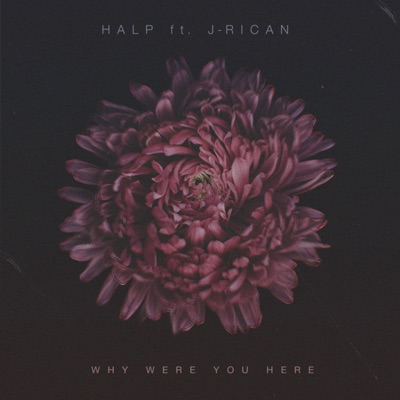 Why Were You Here (feat. J-Rican) - Single