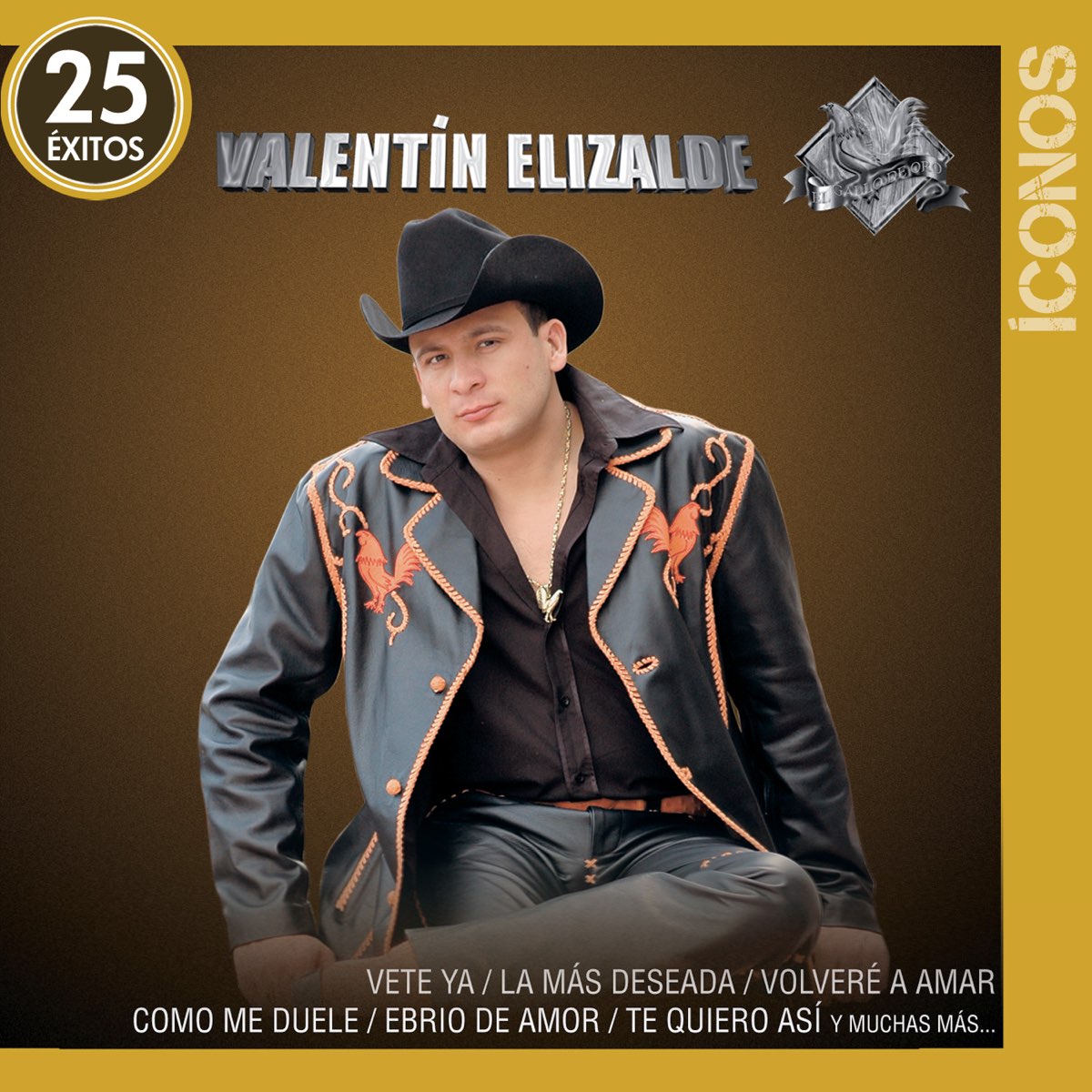 Íconos Valentín Elizalde 25 Éxitos” álbum De Valentín Elizalde En