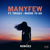 Where to Go (feat. Twiggy) [Extended Mix] artwork