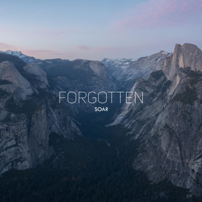 Forgotten - Single