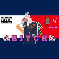 Bitch (feat. NT) - Single - SV