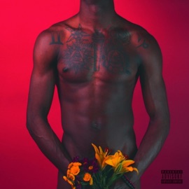 Substance Abuse (feat. King Willie) stevie