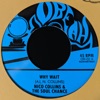 Why Wait b/w Waiting In the Park - Single