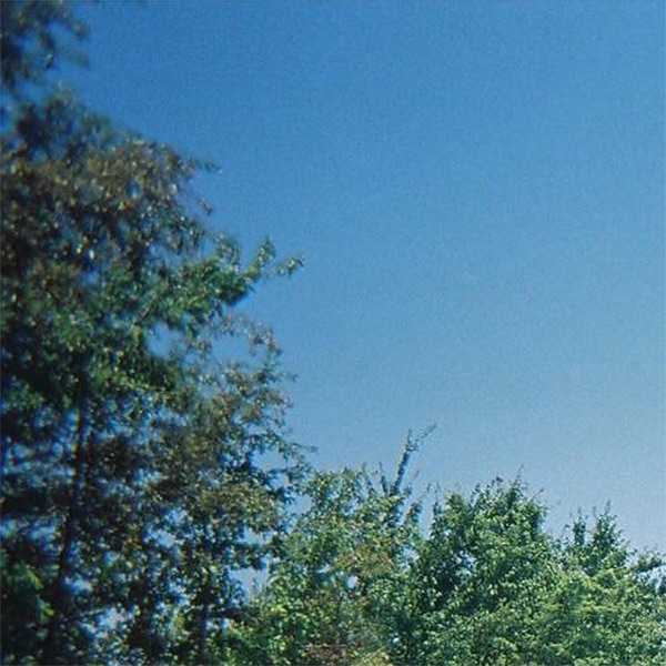 wasting your time (feat. LiL Lotus)