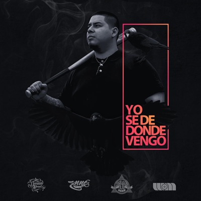 Yo Se de Donde Vengo - Single