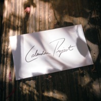 Calendar Project - Feverkin