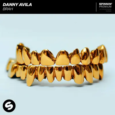 Brah - Single - Danny Avila