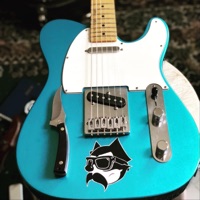 Back to the City - Single - Gato Malo