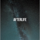 Afterlife artwork