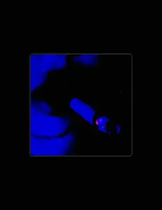 Escucha a Pi Lil 314, mira vídeos musicales, lee la biografía, consulta fechas de giras y mucho más.