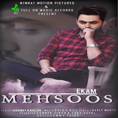 Mehsoos - Single