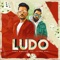 Ludo (feat. Young Desi) - Tony Kakkar lyrics