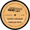 Mateo Makams - Party at 16th Box Avenue (Deephope Flow Mix)