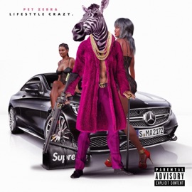 Lifestyle Crazy Pet Zebra