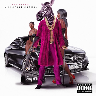 Lifestyle Crazy - Single