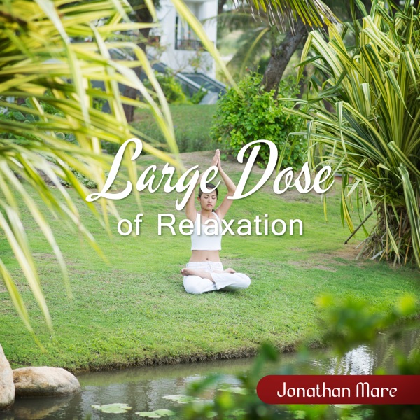 Large Dose of Relaxation (New Age Soothing Sounds for Yoga, Pilates, Wellness & Spa, Meditation)