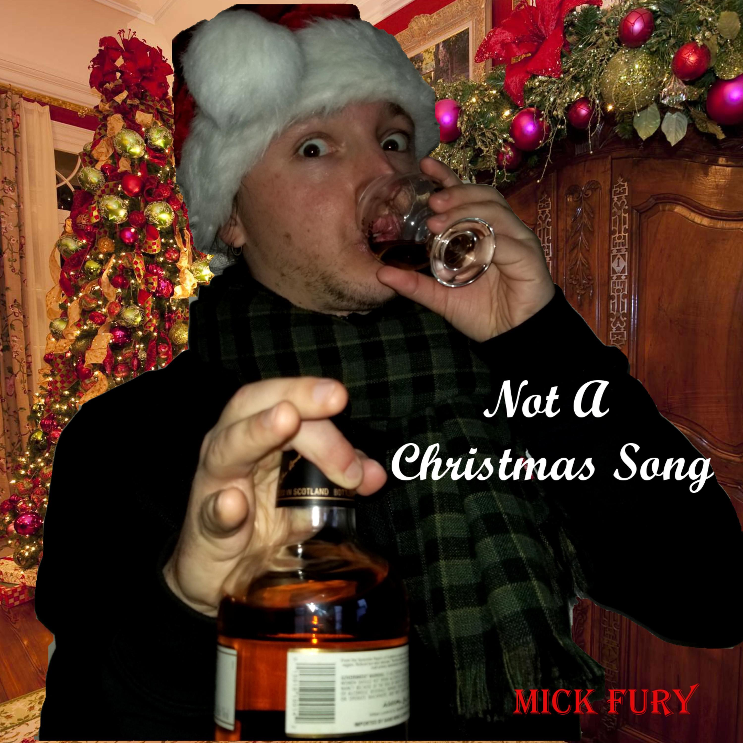 Not a Christmas Song - Single