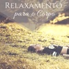 Relaxamento para o Corpo - Música para Depressão e Ansiedade, Melhor Concentração