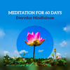 Meditation for 60 Days - Everyday Mindfulness, Beginner Training, Start Your Meditation Practice, Daily Focus for Few Minutes - Meditation Music Zone & Calm Music Masters Relaxation